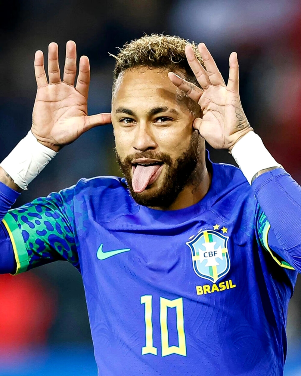 策的犹豫 策的犹豫